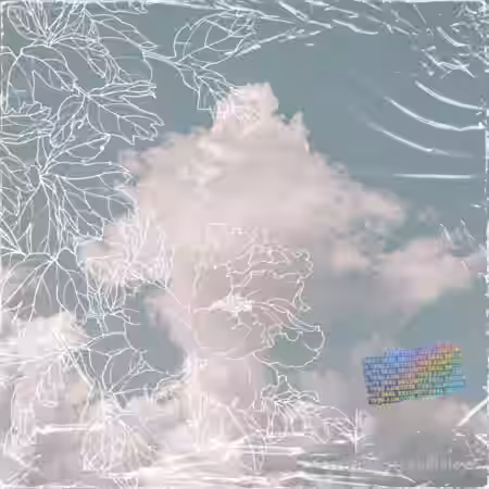 Lil Ness Soundkit Phase 1 [WAV, Synth Presets] - Sample Pack Artwork