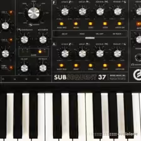 Looma Moog Sub37 Oneshot Sample Pack [WAV] - Sample Pack Artwork