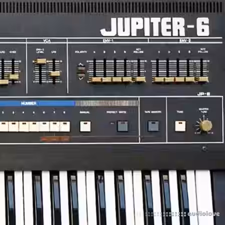Looma Roland Jupiter6 Oneshot Sample Pack [WAV] - Sample Pack Artwork