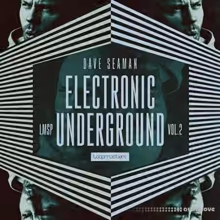Loopmasters Dave Seaman Electronic Underground Vol 2 [WAV, REX, Sampler Patches] - Sample Pack Artwork