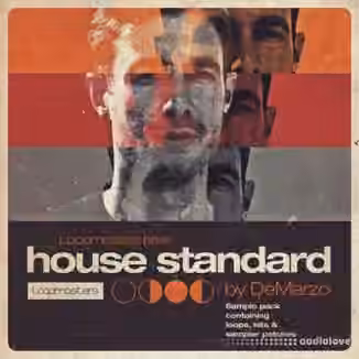 Loopmasters DeMarzo House Standard [MULTiFORMAT]