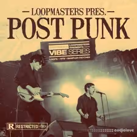 Loopmasters VIBES 13 Post Punk [WAV, REX] - Sample Pack Artwork