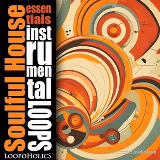 Loopoholics Soulful House Essentials: Loops [WAV]
