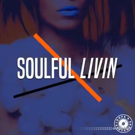 Loops 4 Producers Soulful Livin [WAV] - Sample Pack Artwork