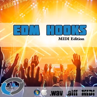 Loopslab EDM Hooks [WAV, MiDi, AiFF]