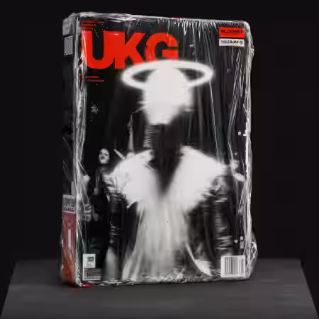 Loopsy UKG For Serum 2 [Synth Presets, MiDi] - Sample Pack Artwork