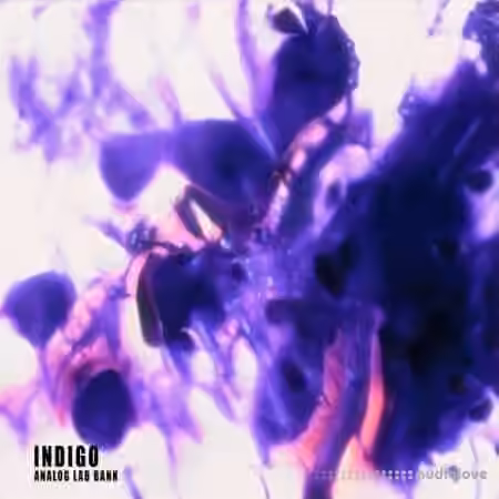 Loushi Indigo Analog Lab bank [Synth Presets] - Sample Pack Artwork
