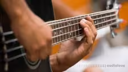 Lynda John Patitucci Electric Bass Complete [TUTORiAL] - Sample Pack Artwork