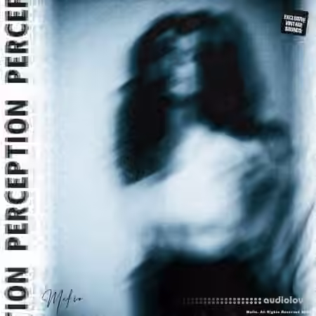 Mafio Perception Bundle Sample Pack + One Shot Kit + Mixing Chains [WAV, Synth Presets] - Sample Pack Artwork