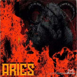 Major Loops Aries [WAV]