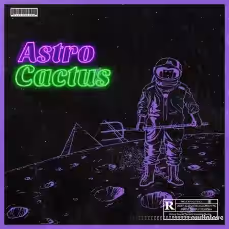 Major Loops Astro Cactus [WAV] - Sample Pack Artwork