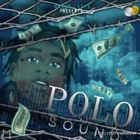 Major Loops Polo Sound [WAV] - Sample Pack Artwork