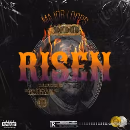 Major Loops Risen [WAV] - Sample Pack Artwork