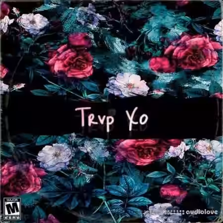 Major Loops Trvp Xo [WAV] - Sample Pack Artwork