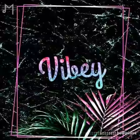 Major Loops Vibey [WAV] - Sample Pack Artwork