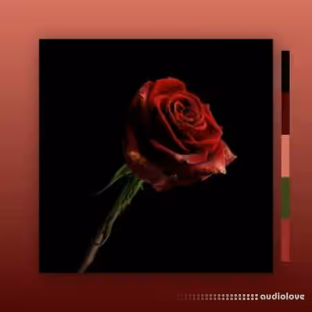 MarcDBeats Rose [WAV] - Sample Pack Artwork