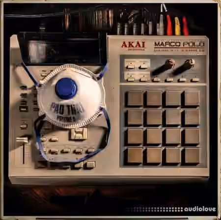 Marco Polo Pad Thai Vol.6 [WAV] - Sample Pack Artwork
