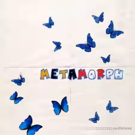 Maserati Sparks Metamorph [WAV] - Sample Pack Artwork