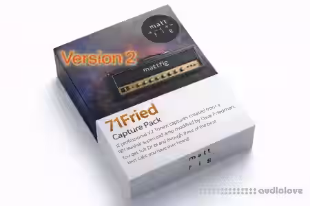 Matt Fig Fig V2 71Fried ToneX Capture Pack - Sample Pack Artwork
