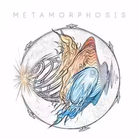 Mattia Cellotto Metamorphosis [WAV] - Sample Pack Artwork