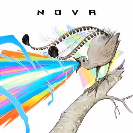 Mattia Cellotto Nova [WAV] - Sample Pack Artwork