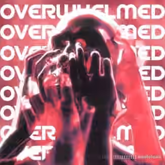 Melodic Kings Overwhelmed [WAV]