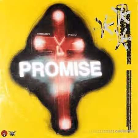 Melodic Kings Promise [WAV] - Sample Pack Artwork