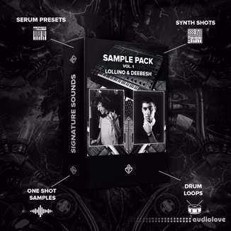 Meritocracy Records Lollino and Deebesh Sample Pack [WAV, Synth Presets]