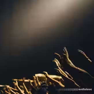 Michael White Hands Up [WAV]