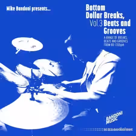 Mike Bandoni Bottom Dollar Breaks, Beats And Grooves Volume 3 [WAV] - Sample Pack Artwork