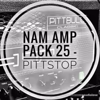 mirrorprofiles NAM A2 Amp Pack 25 PITTSTOP