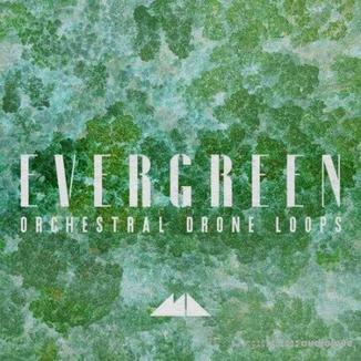 ModeAudio Evergreen Orchestral Drone Loops [WAV]