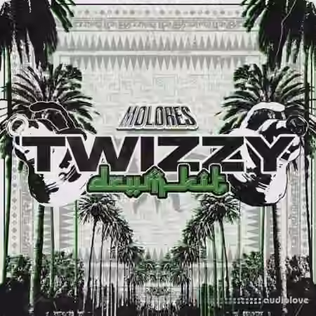 MOLORES Twizzy Drum Kit [WAV, Synth Presets] - Sample Pack Artwork