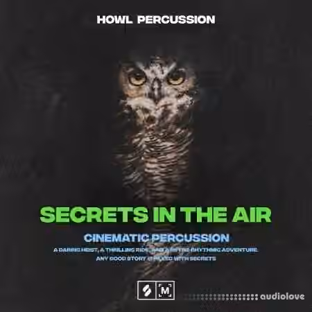 Montage By Splice Secrets In The Air Cinematic Percussion [WAV] - Sample Pack Artwork