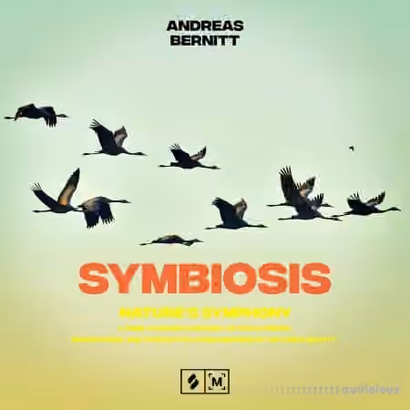 Montage by Splice Symbiosis: Nature's Symphony [WAV] - Sample Pack Artwork