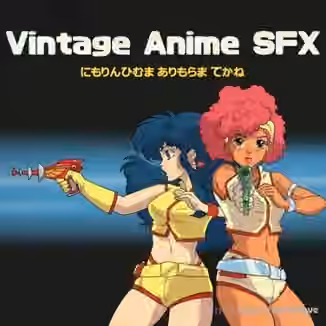 Moon Echo Audio Vintage Anime SFX [WAV]