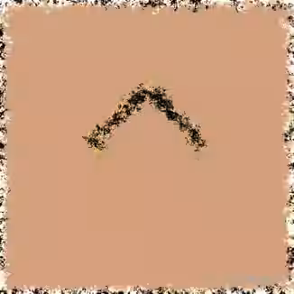 MSK Legends 808s [WAV]