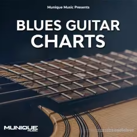 Munique Music Blues Guitar Charts [WAV] - Sample Pack Artwork