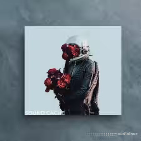 Mxrio and Hxxx Dragonfly (Loop Kit) [WAV] - Sample Pack Artwork