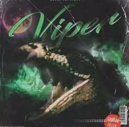 Nashi Viper Drum Kit [WAV, MiDi, Synth Presets] - Sample Pack Artwork