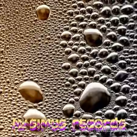 Nasimus Records Minimal Basses and Voice [WAV] - Sample Pack Artwork