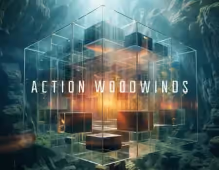 Native Instruments Action Woodwinds v1.0.0 [KONTAKT] - Sample Pack Artwork