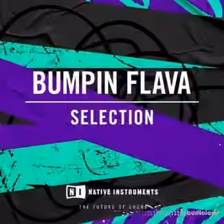 Native Instruments Bumpin Flava [WAV]