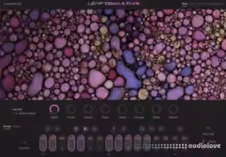 Native Instruments Leap Disco and Funk [KONTAKT] - Sample Pack Artwork