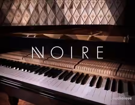 Native Instruments Noire v1.2.1 [KONTAKT] - Sample Pack Artwork
