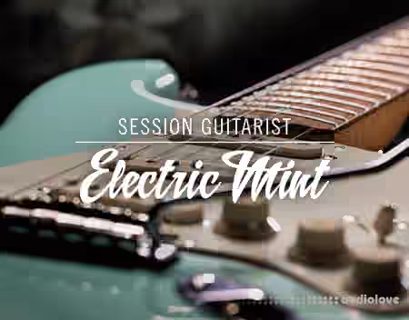 Native Instruments Session Guitarist Electric Mint v1.1 [KONTAKT] - Sample Pack Artwork