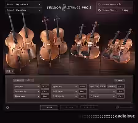 Native Instruments Session Strings Pro 2 v1.0.5 [KONTAKT] - Sample Pack Artwork