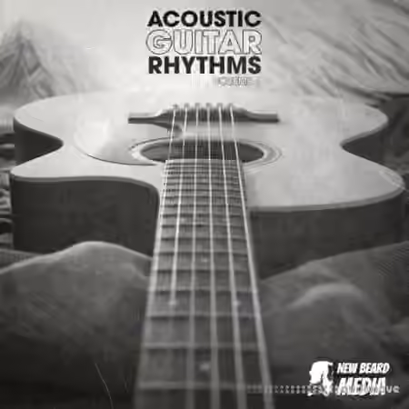 New Beard Media Acoustic Guitar Rhythms Vol 4 [WAV] - Sample Pack Artwork