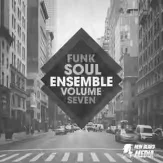 New Beard Media Funk Soul Ensemble Vol 7 [WAV]