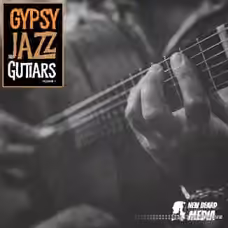 New Beard Media Gypsy Jazz Guitars Vol 1 [WAV]